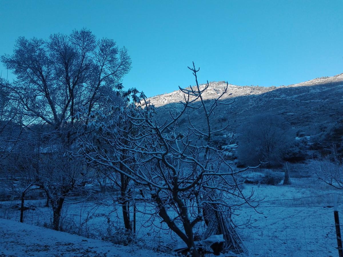 Alarcon * Arroyo Frio